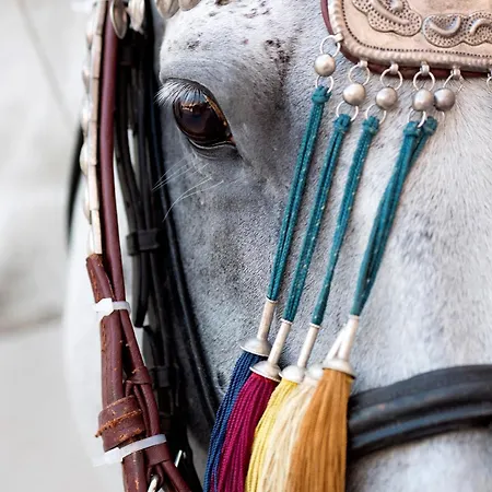 Marko With Pool And Bbq * Hrvace